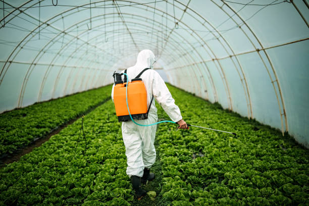 Best Commercial Pest Control Services  in Central City, IA