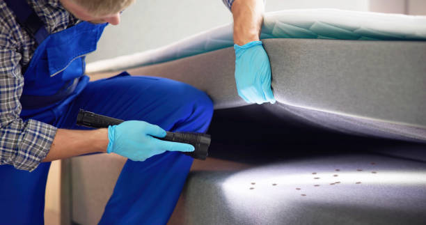 Trusted Central City, IA Pest Control Experts