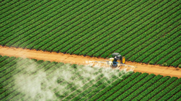 Best Mosquito Control Services  in Central City, IA
