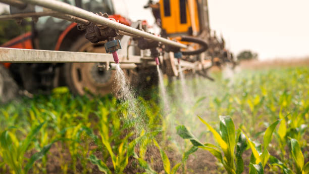 Best Mosquito Control Services  in Central City, IA